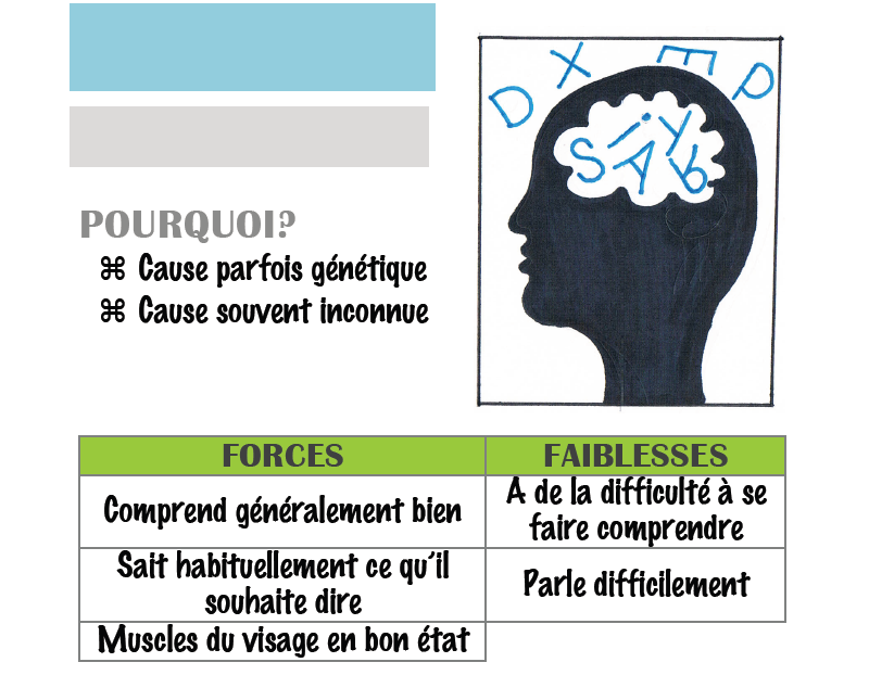 POURQUOI? Cause parfois génétique Cause souvent inconnue FORCES FAIBLESSES Comprend généralement bien A de la difficulté à se faire comprendre Sait habituellement ce qu’il souhaite dire Parle difficilement Muscles du visage en bon état
